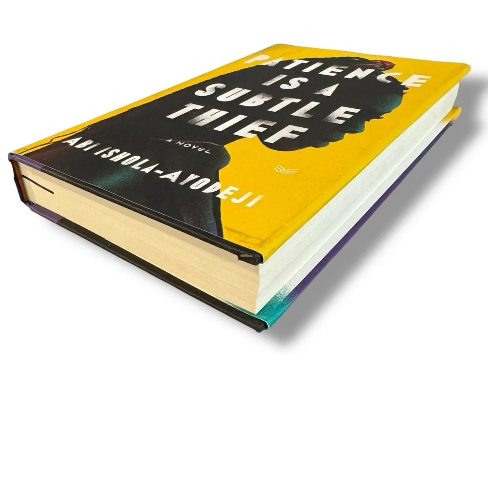 Patience Is a Subtle Thief: A Novel - Hardcover HD DJ By‎ Ishola-Ayodeji, Abi